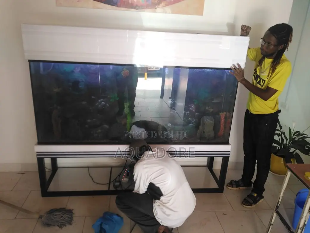 Stand Aquarium