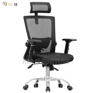 Office Chair : Ergonomic High Back Mesh Office Chair -Adjustable