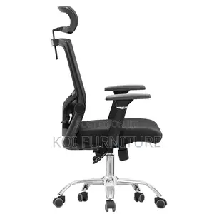 Office Chair : Ergonomic High Back Mesh Office Chair -Adjustable