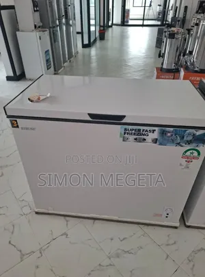 Rebune 250 Litres Deep Freezer