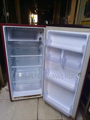 Fridge Repair