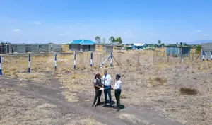 Cheap Plots for Sale in Malaa^Sk