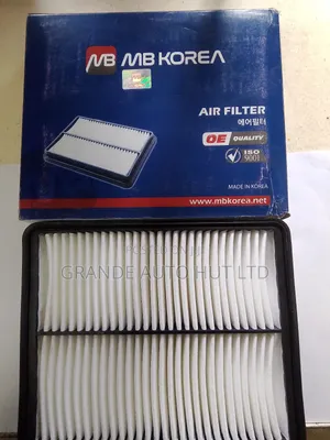 Air Filter Hyundai Santa Fe/Sorento 2010 (Mbkorea Brand)