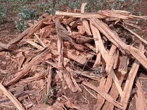 Firewood Logs