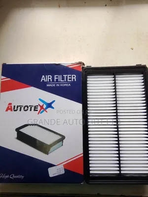 Air Filter Kia Carnival 2015 (Autotex Brand)
