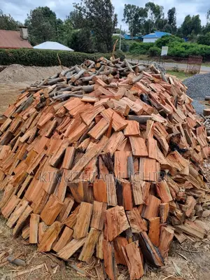 Firewood Logs