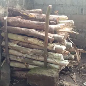 Firewood Logs