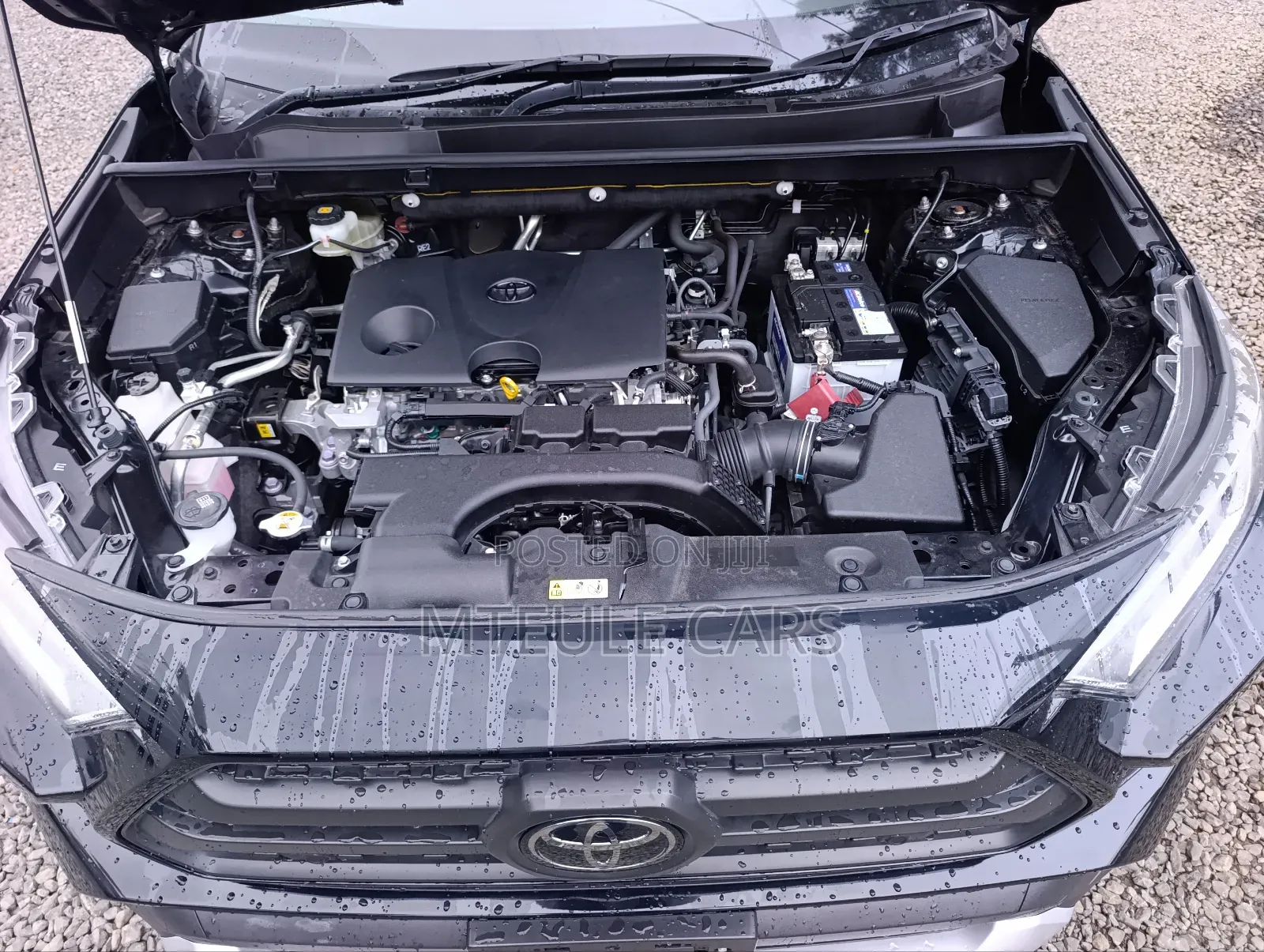 Toyota RAV4 Adventure 2019 Black