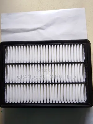 Air Filter Hyundai Tucson 2016 (Genuine Brand)