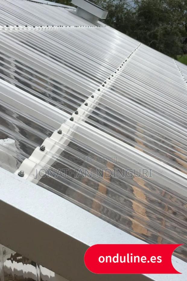 Transparent Hollow Polycarbonate Panel - main view