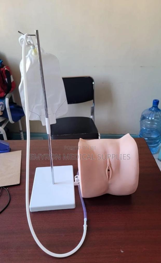 Female Catheterization Model - main view
