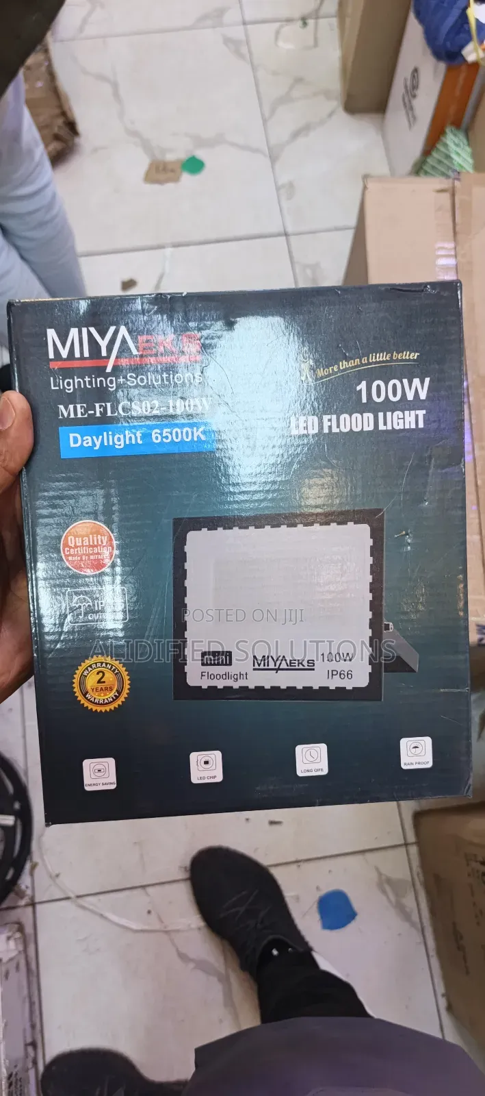 Super Bright 100w Ac Floodlight