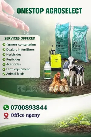 Poster Design And Social Media Post Services