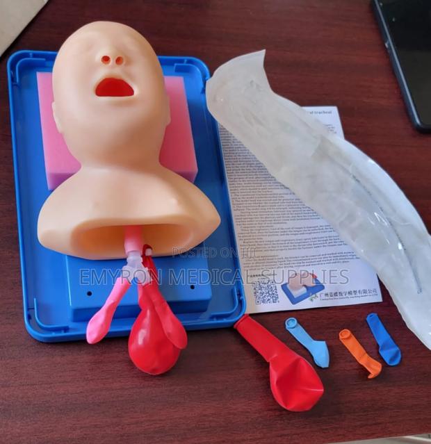 Infant Intubation Model - main view