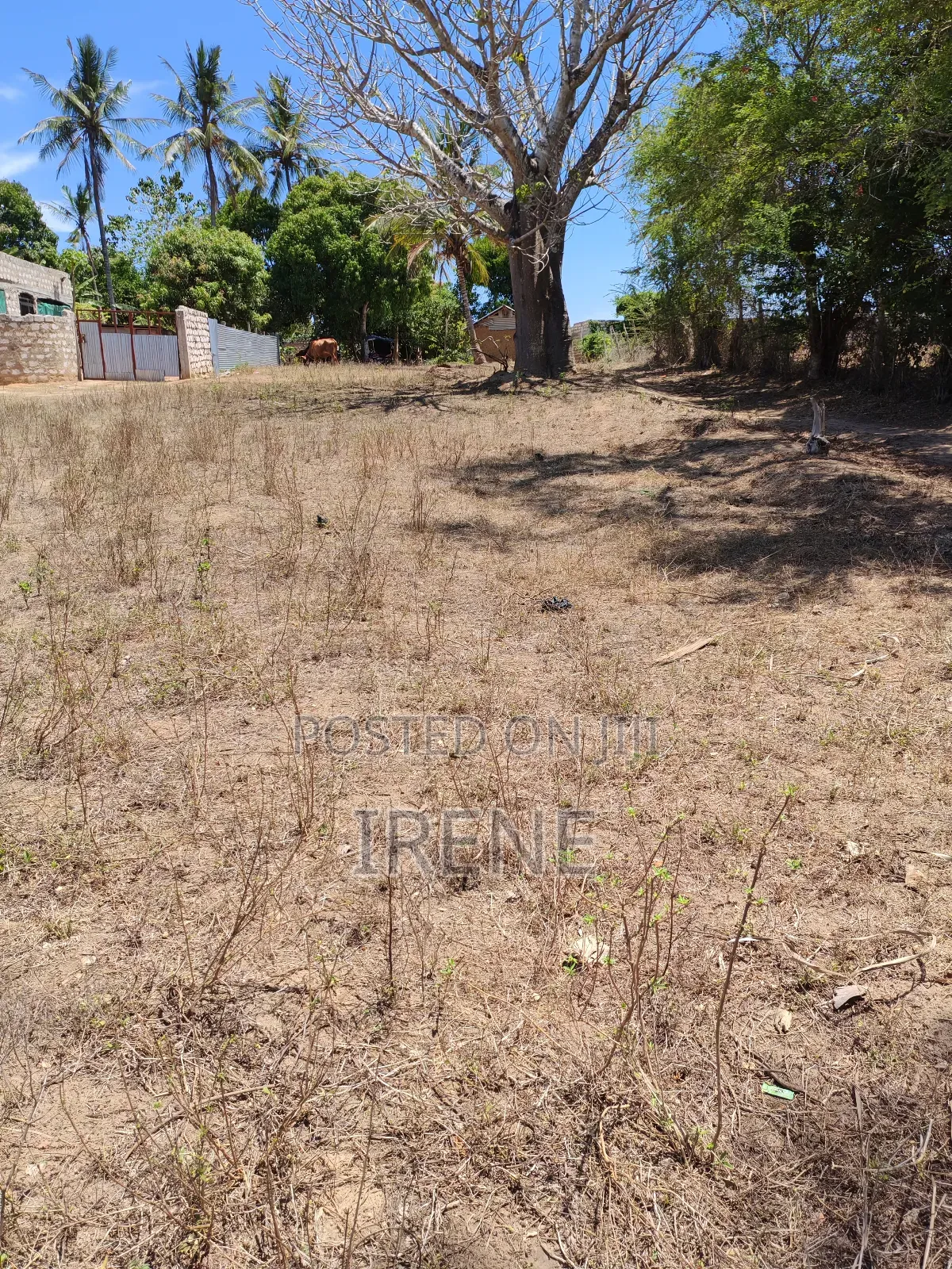 Plot for Sell