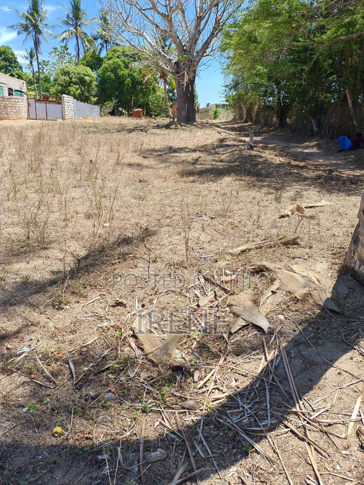 Plot for Sell