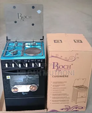 Roch 50×55 Standing 3+1 Cooker