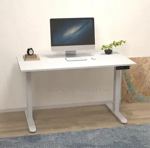 120cm Sit To Stand Electric Standing Office Desk