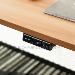 120cm Sit To Stand Electric Standing Office Desk