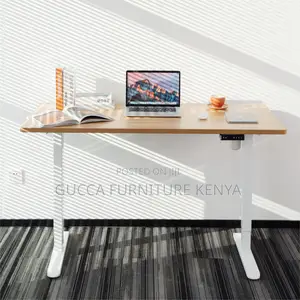 120cm Sit To Stand Electric Standing Office Desk