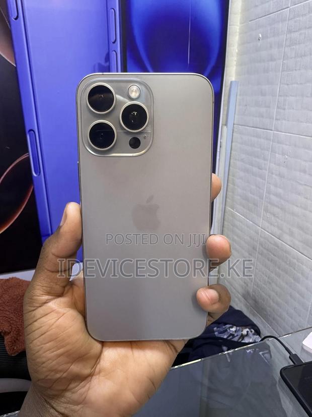 Apple iPhone 15 Pro Max 256 GB Silver - main view