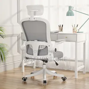 Office Chair : Ergonomic Office Chair With Adjustable Lumbar Support