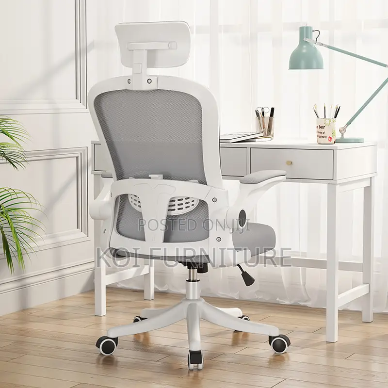 Office Chair : Ergonomic Office Chair With Adjustable Lumbar Support