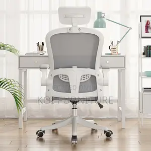 Office Chair : Ergonomic Office Chair With Adjustable Lumbar Support