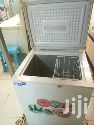 Mini Deep Freezer