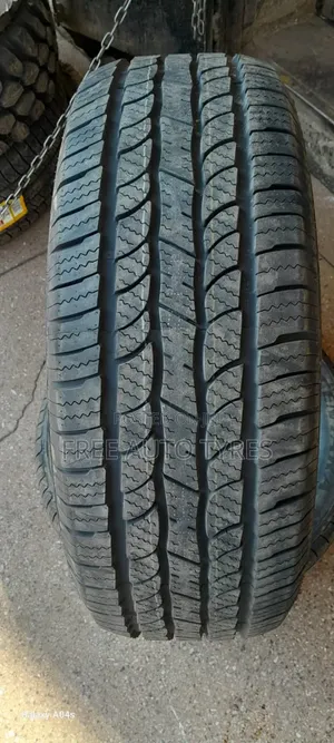 265/60r18 Grenlander At
