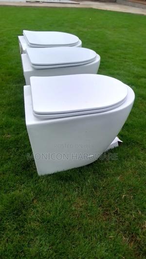 Water Closet- Wall Hung - main view