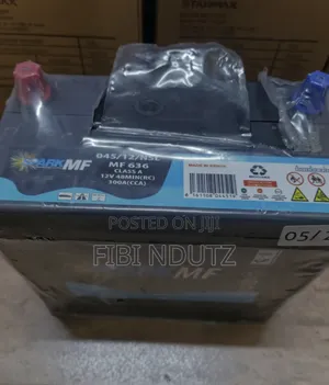 N40 Car Battery/Original Spark Car Battery