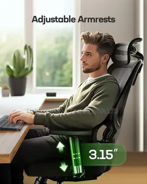 Office Seats: Mesh Office Chair With Adjustable Lumbar Support