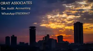 Tax, Audit and Accounting Services