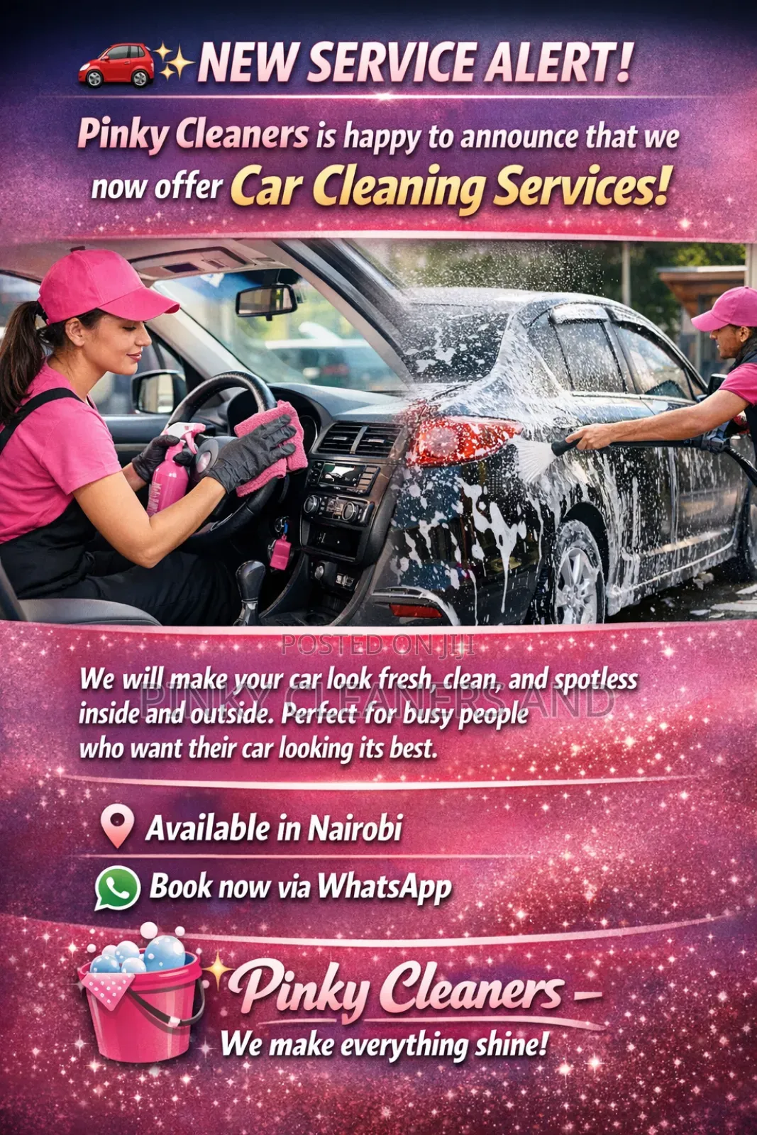 Pinky Cleaners and Fumigation