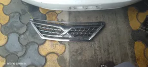 Toyota Mark X 2010 Grill