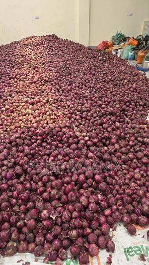 Fresh Onions for Sell