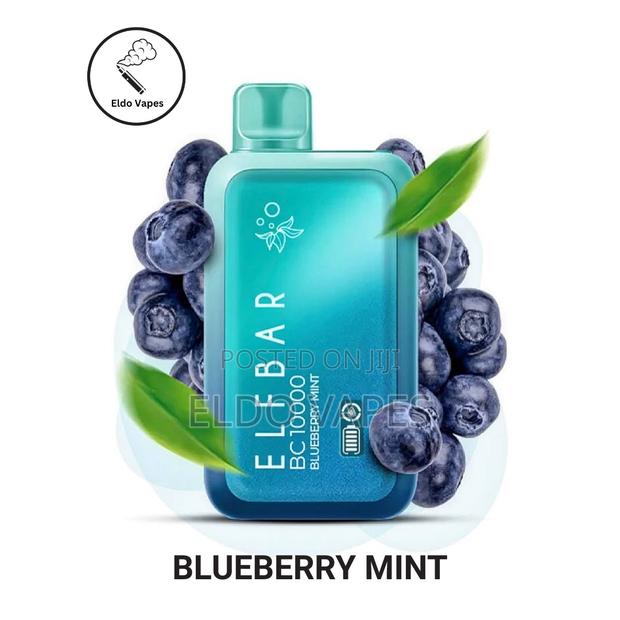 Elfbar 10000 Puffs Rechargeable Vape - Blueberry Mint