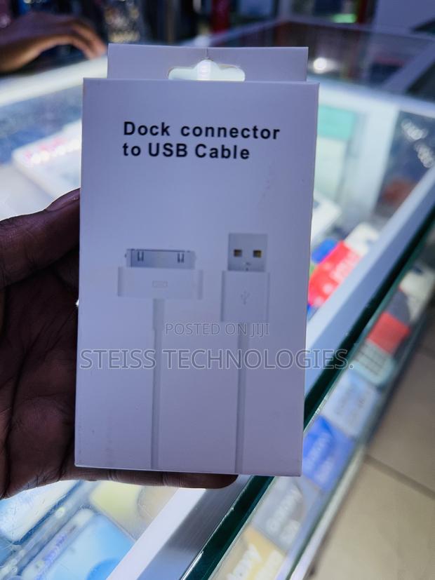 iPad 2/iPhone 4 Cable - main view