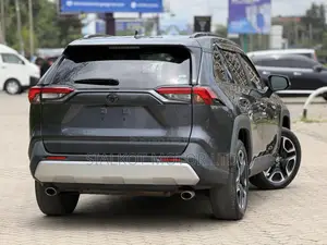 Toyota RAV4 Adventure AWD 2020 Gray