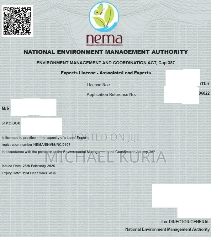 Lead Environmental and Social Safeguards Consultancy