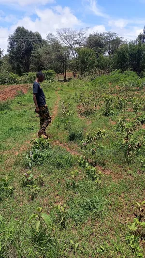Land in Kikuyu Ndeiya