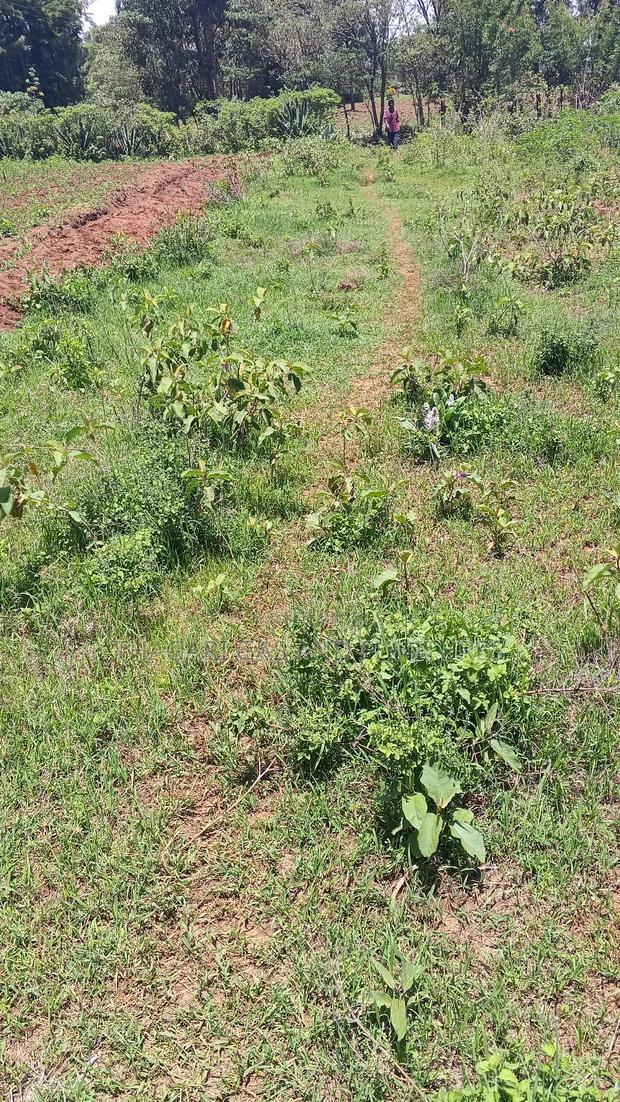 Land in Kikuyu Ndeiya - thumbnail 3