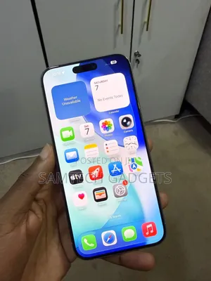 Apple iPhone 15 Pro Max 256 GB Gray