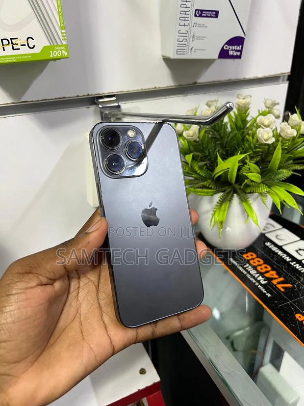 Apple iPhone 13 Pro 256 GB Gray - main view
