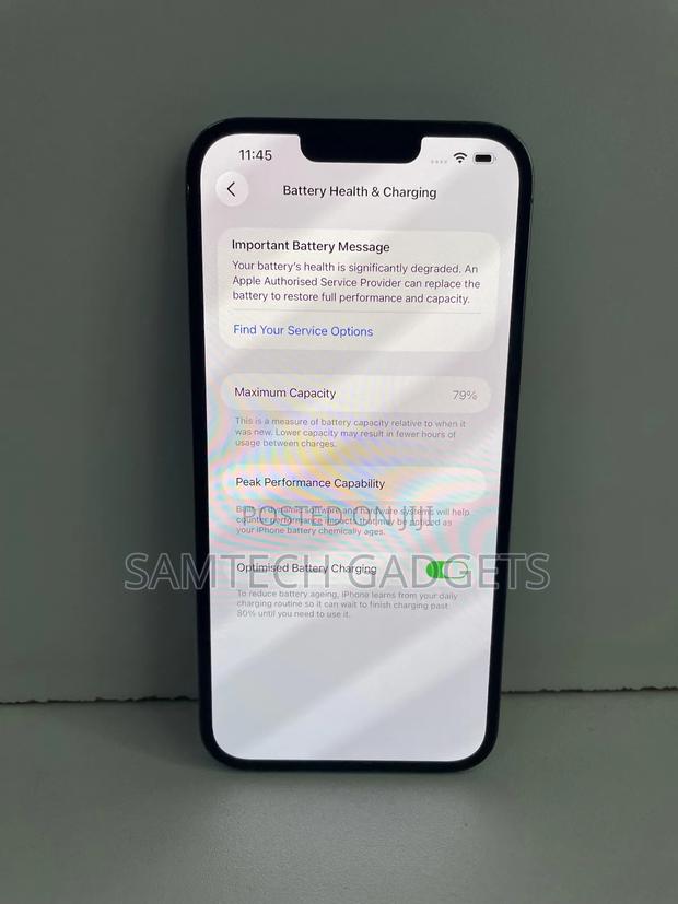 Apple iPhone 13 Pro Max 256 GB Green - main view