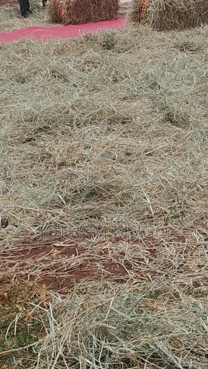 50 By 100 Plot In Limuru, Kwa D.O - thumbnail 2