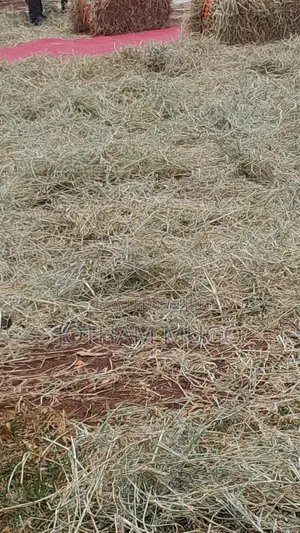 50 By 100 Plot In Limuru, Kwa D.O