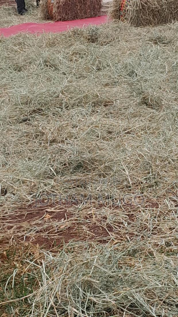 50 By 100 Plot In Limuru, Kwa D.O - main view