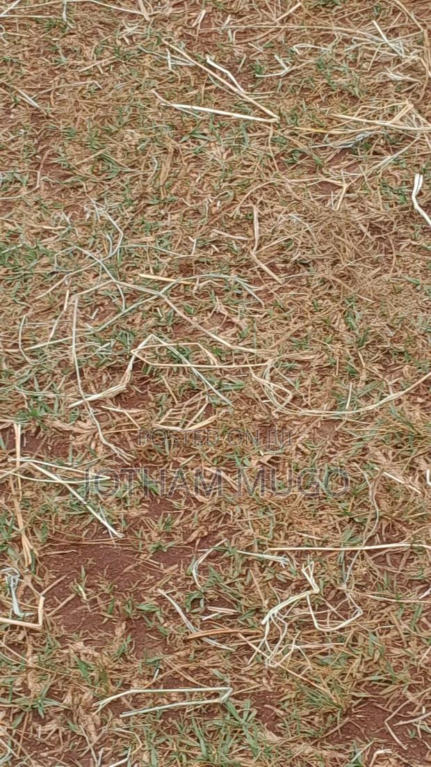 50 By 100 Plot In Limuru, Kwa D.O - thumbnail 2